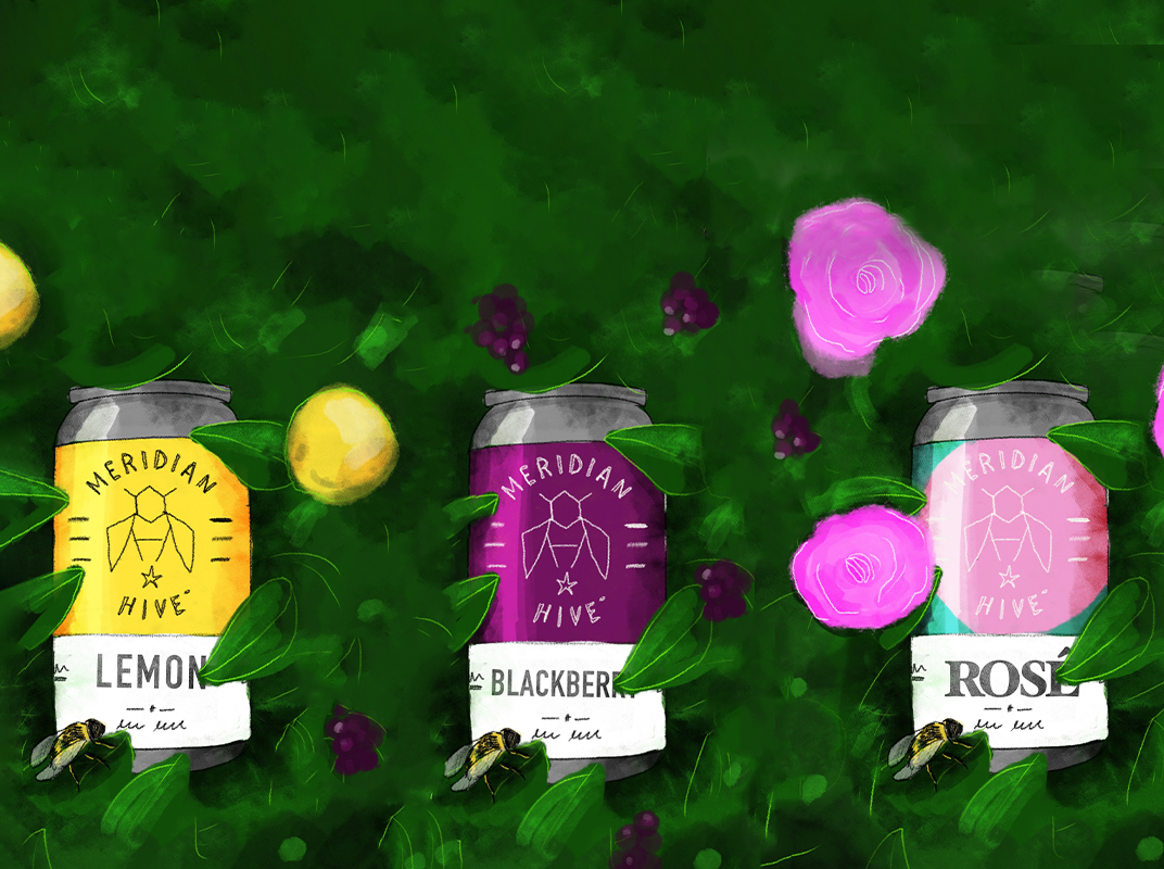 Meridian Hive Ad Concept Illustration